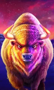Buffalo King Megaways